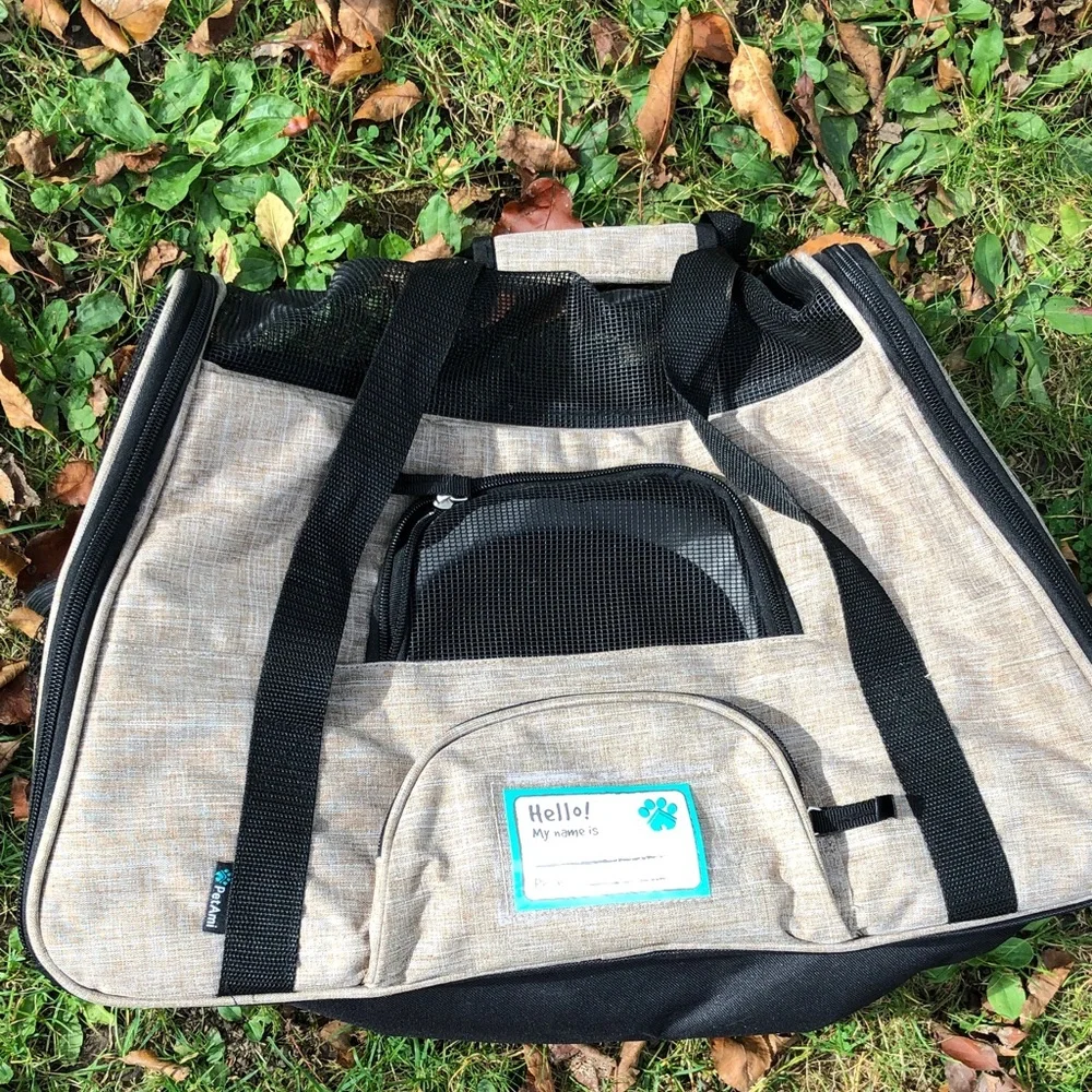 Pet Carrier with Mesh Panels